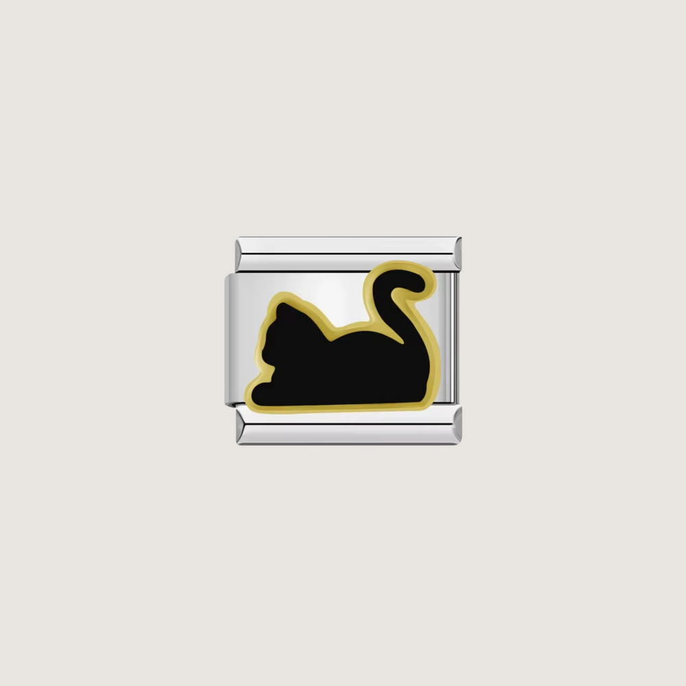 Cat Charm