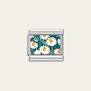 Encanto Daisy