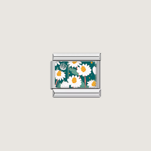 Charm Daisy