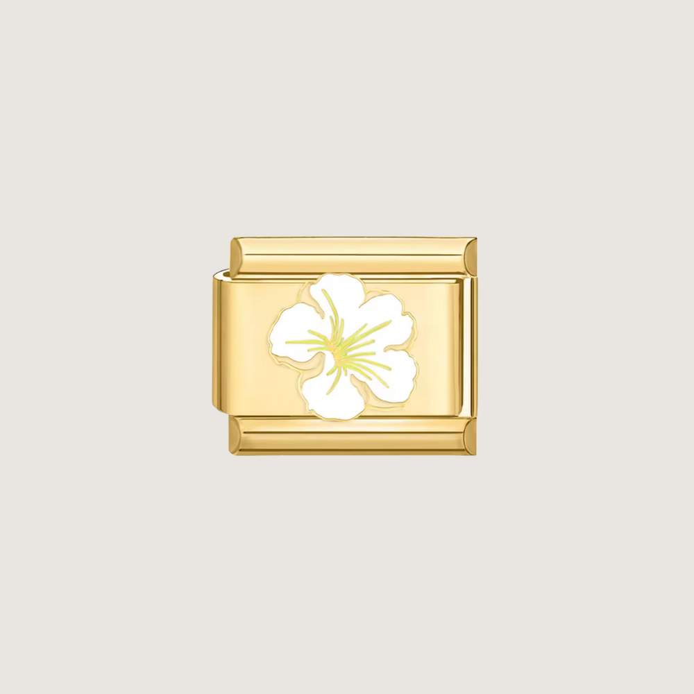 Hibiscus Charms