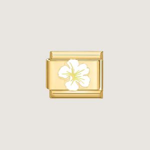 Hibiscus Charms