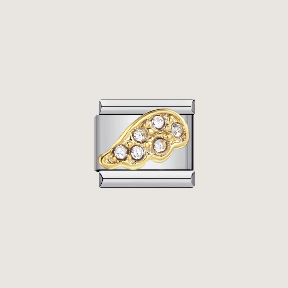 Wings Charm