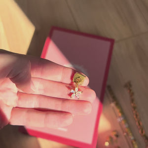 Advent Calendar 2025 - Charms Edition